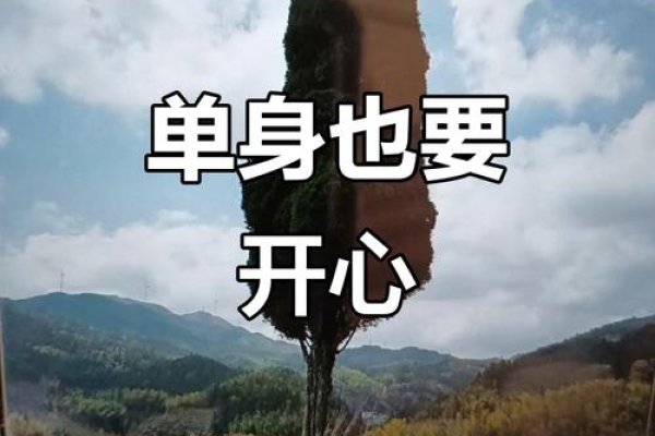 光棍节，开启自我价值与生活的甜蜜旅程-新乐天