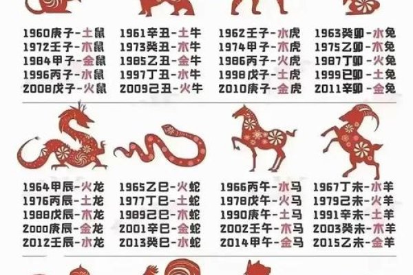 干柴烈火生肖探秘-新乐天