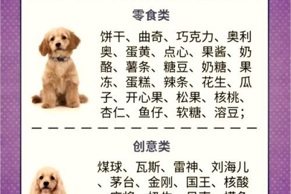 给狗起名字，创意与意义的完美结合-新乐天