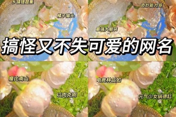 搞笑网名大全，点亮快乐源泉的创意之选-新乐天