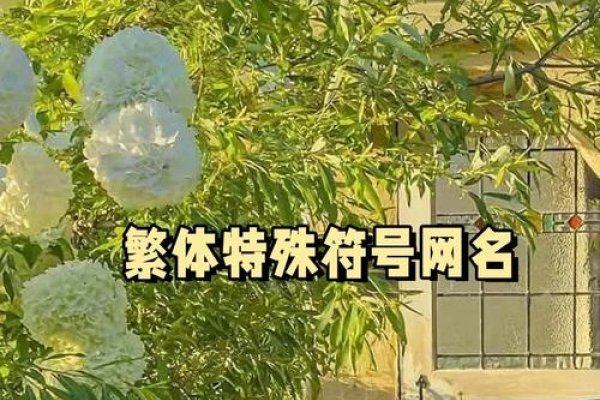 个性繁体网名，彰显独特魅力的网络标识-新乐天