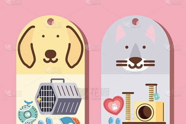 个性宠物名字，打造你的独特小伙伴标签-新乐天