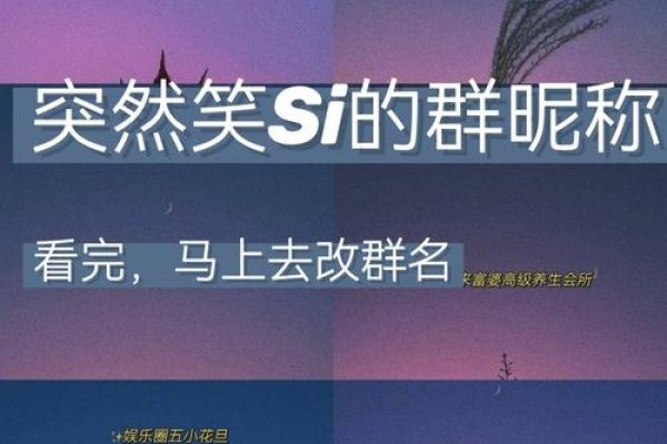 搞笑QQ群名字大赏，欢乐群聊的命名艺术-新乐天