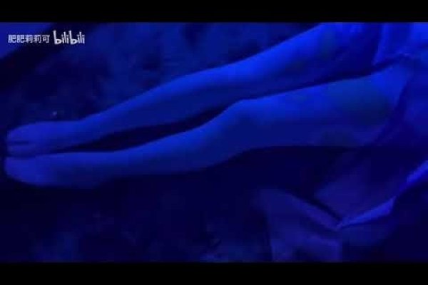 黑灯瞎火生肖揭秘-新乐天