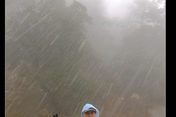 寒风细雨中的生肖传奇-新乐天