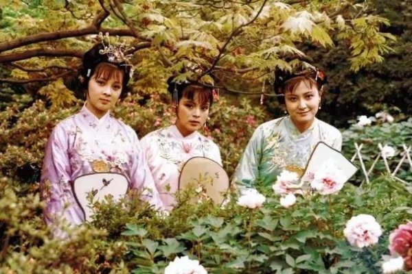 红花柳绿四季春与神秘生肖的交织-新乐天