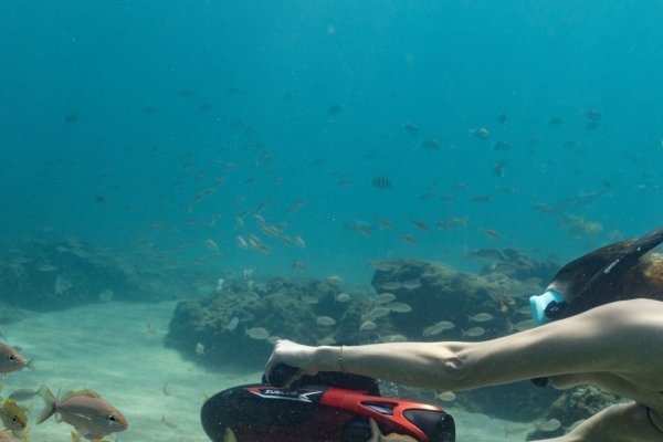 好看的行会名字，打造独特而富有魅力的团队标识-新乐天