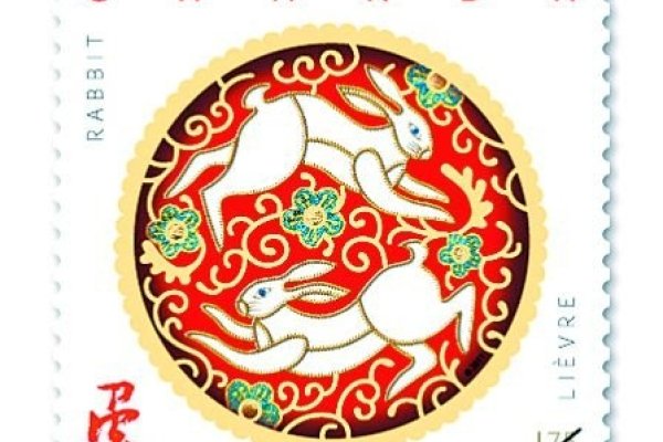 虎年之后是兔年-新乐天