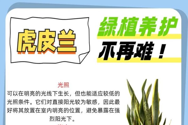 虎皮兰的风水作用-新乐天