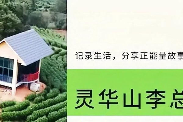 好日子聊天室，在数字时代里寻找温暖与共鸣的温馨角落-新乐天