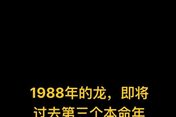 后生晚辈打一生肖—龙-新乐天