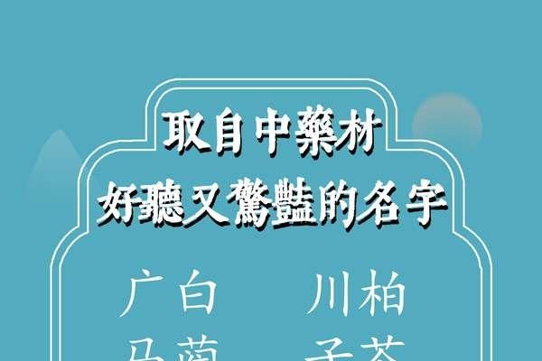 好听的传奇名字，探索名字背后的故事与魅力-新乐天