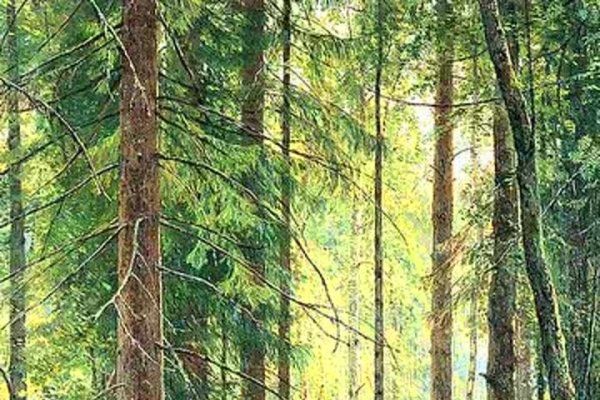 好听的名字，赋予生活以诗意的艺术-新乐天