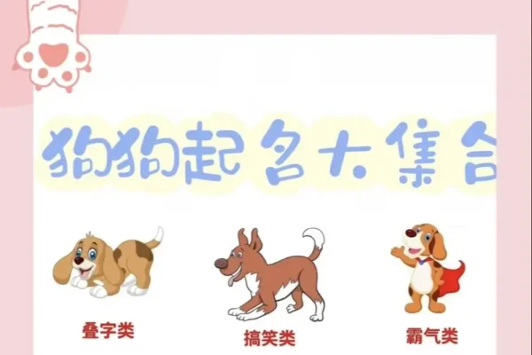 好听的狗狗名字，为你的宠物犬寻找一个独特而悦耳的名字-新乐天