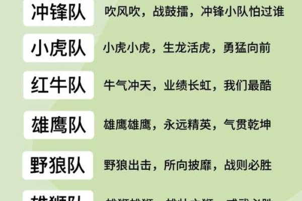 好听的组名，创意与团队精神的完美融合-新乐天