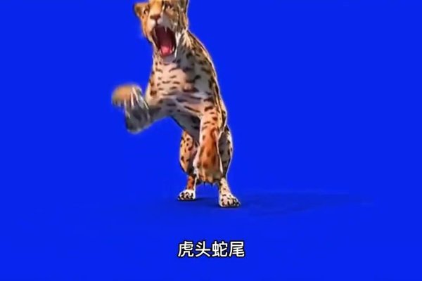 虎头蛇尾，谜底生肖龙-新乐天