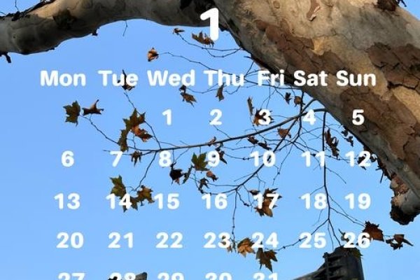 回望岁月，探寻时光印记—2014年1月日历-新乐天