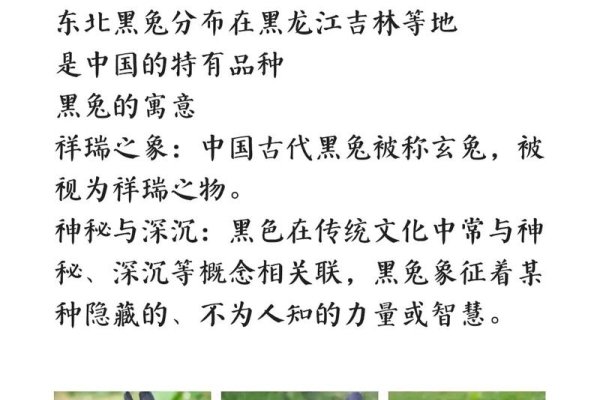 黑兔年的好坏，一种文化视角下的解读-新乐天