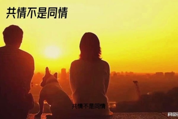 婚姻情感之困境，共情与共情-新乐天