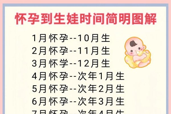 怀孕日历表，从备孕到分娩的温馨指南-新乐天