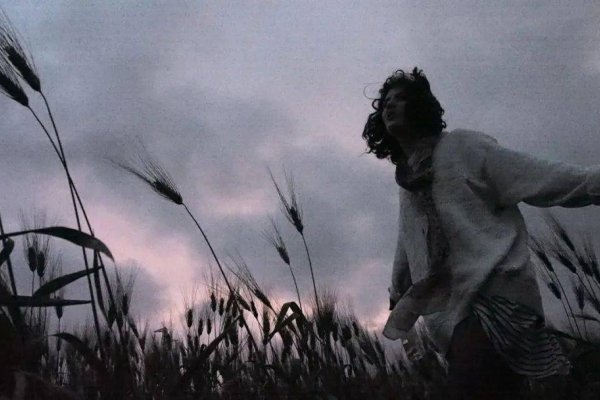 后脑勺反骨，情感共鸣与自我反思的碰撞-新乐天