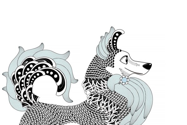 火烧眉毛与生肖之谜-新乐天