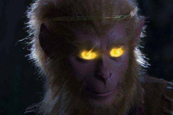 火眼金睛的生肖—猴-新乐天