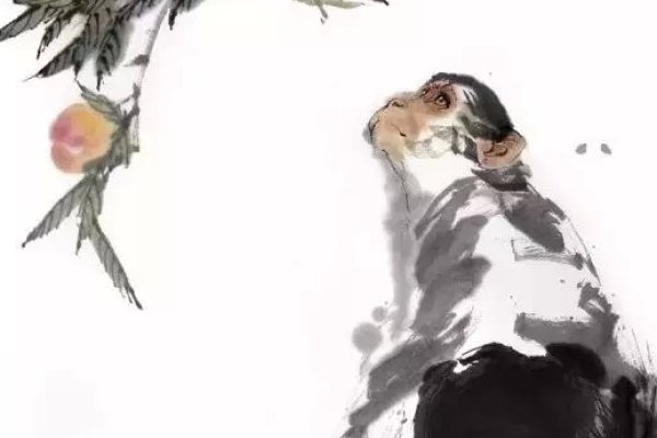 行云流水生肖探秘-新乐天