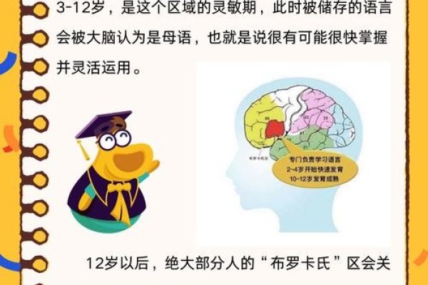 和音，解码人类语言中的精妙密码-新乐天