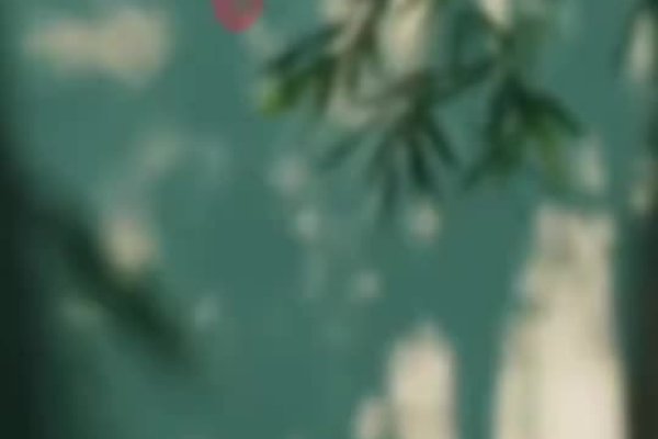 几点立春？今日立春时刻揭晓-新乐天