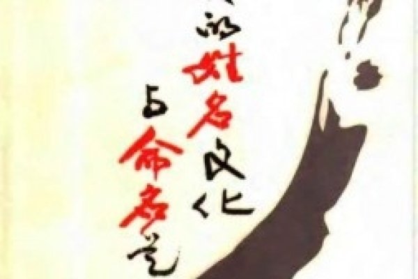 经典网络名字，时代的记忆与文化的印记-新乐天