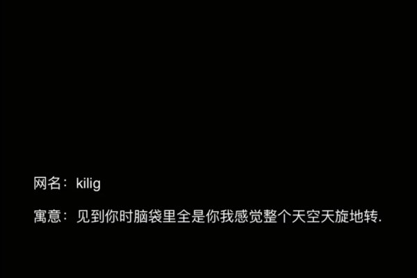 简单有内涵的网名,探寻个性与简洁的完美结合-新乐天