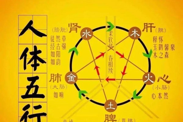 金行五行，中州商道上的金脉密码-新乐天