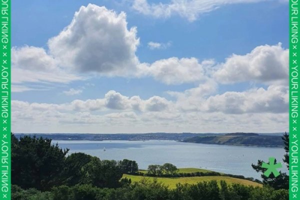 角落里的温暖——探索Conner的独特魅力-新乐天