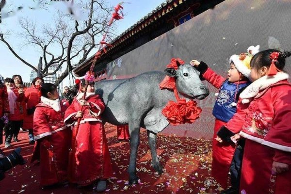 今年打春的准确时刻-新乐天