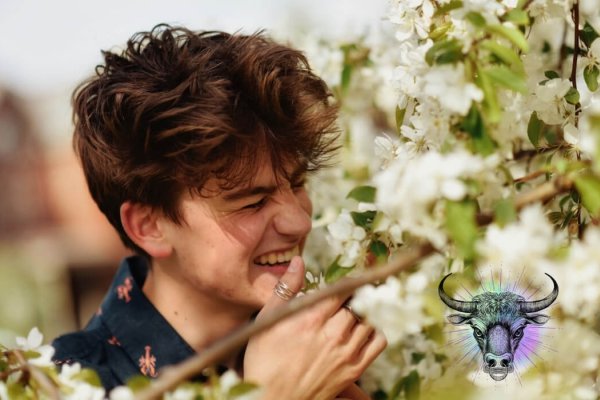 金牛女和水瓶男，性格与命运的奇妙相遇-新乐天