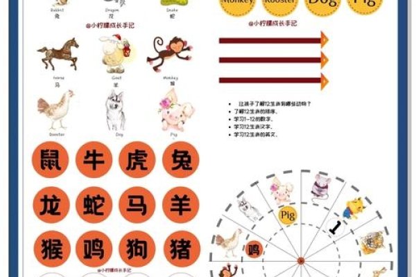今年生肖揭秘,哪一种动物主宰着时间的轮转?-新乐天