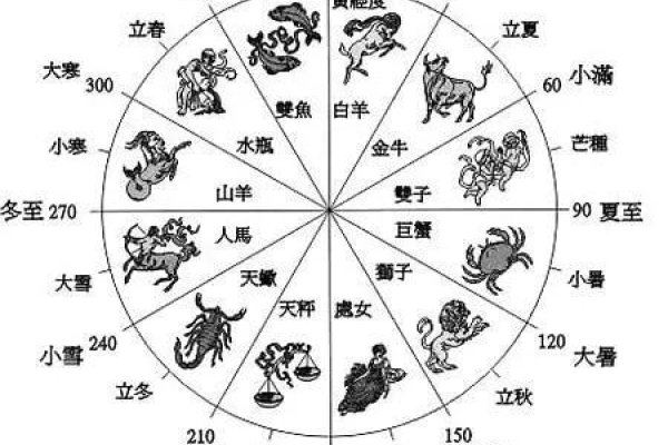 今年什么年?探索时间流转中的生肖与命运-新乐天