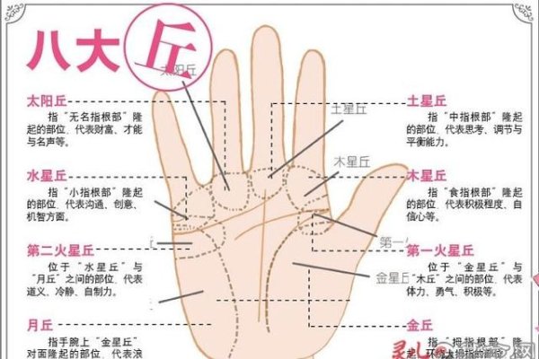 教你怎么看手相,揭开命运的神秘面纱-新乐天