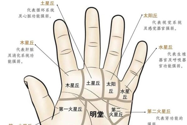 教你怎样看手相，探索掌纹中的奥秘-新乐天