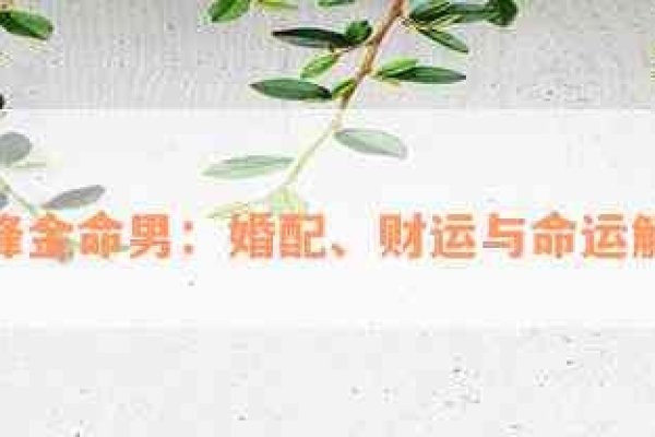 金兔命格解析,2011年银币价格与性格命运-新乐天