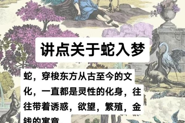 解析梦境中的蛇，梦见蛇是怎么回事？-新乐天
