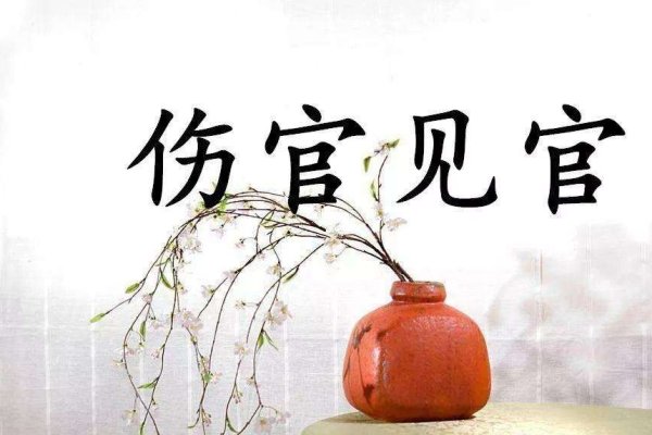 解析命理术语，什么是伤官见官及其影响-新乐天