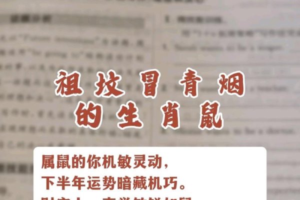 脚踏实地最佳生肖—属鼠的人-新乐天