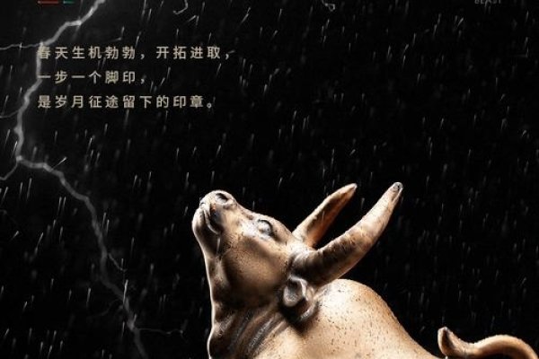 脚踏实地，生肖牛的精神典范-新乐天