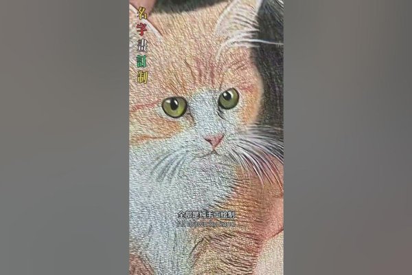 精心设计名字，书写独特人生篇章-新乐天