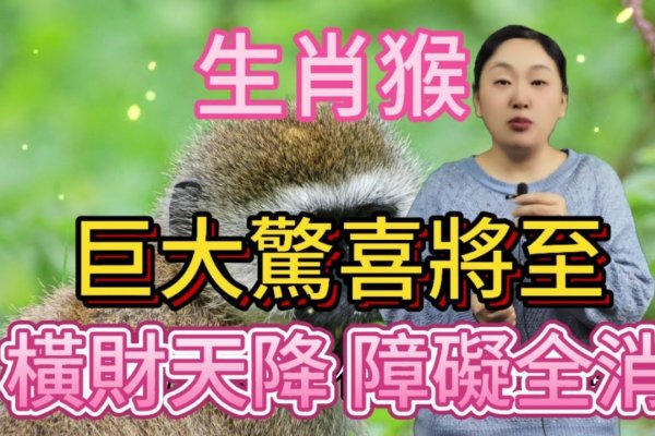 见异思迁，生肖之谜揭晓，灵动多变属猴儿-新乐天