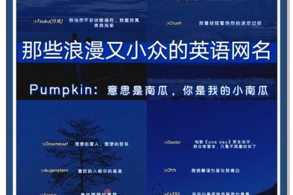 精选网站名称大全，从创意到实用的命名灵感-新乐天