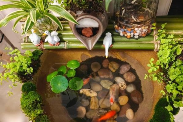 金鱼缸风水，探寻家居与水景的和谐之道-新乐天