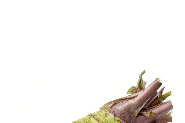 解析Wasabi的意思及其文化重要性-新乐天